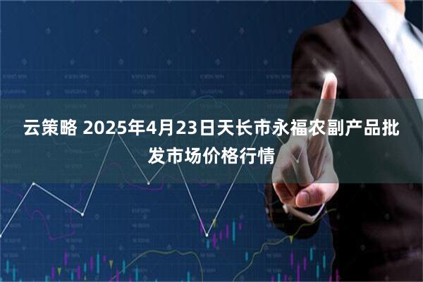 云策略 2025年4月23日天长市永福农副产品批发市场价格行情