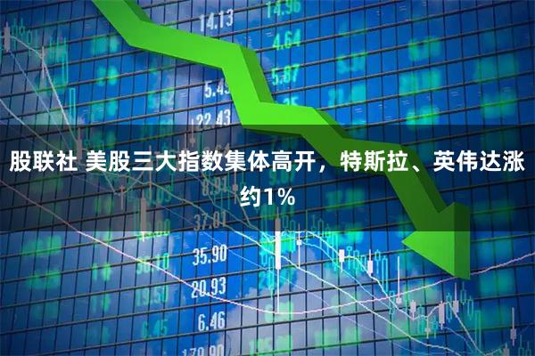 股联社 美股三大指数集体高开，特斯拉、英伟达涨约1%