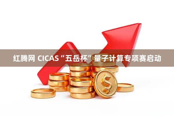 红腾网 CICAS“五岳杯”量子计算专项赛启动