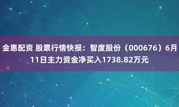 金惠配资 股票行情快报：智度股份（000676）6月11日主力资金净买入1738.82万元