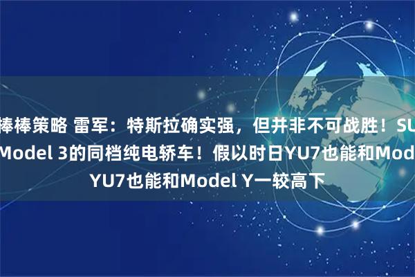 棒棒策略 雷军：特斯拉确实强，但并非不可战胜！SU7是唯一击败Model 3的同档纯电轿车！假以时日YU7也能和Model Y一较高下